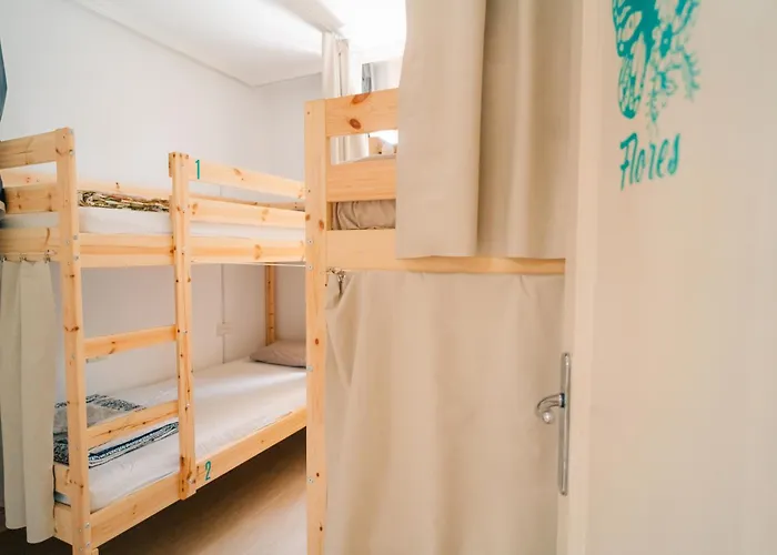 Aloe Vera Shared HouseHostal